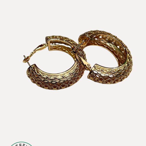 Gold Plated Earring #16