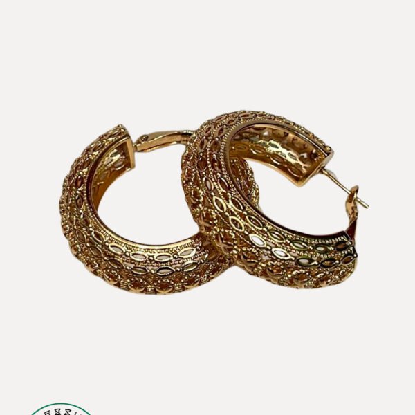 Gold Plated Earring #25
