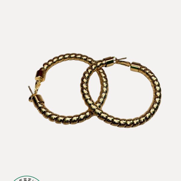 Gold Plated Earring #27