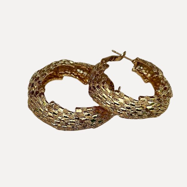 Gold Plated Earring #1
